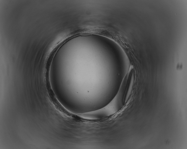 X0000091660150200708231314