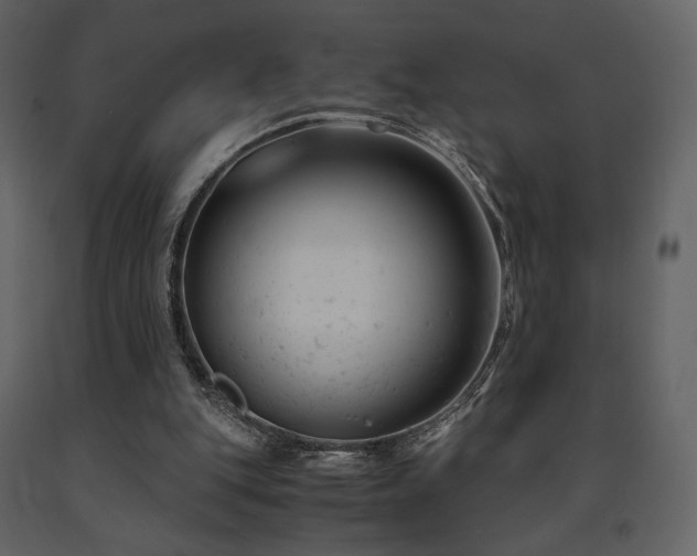 X0000091660151200708231314