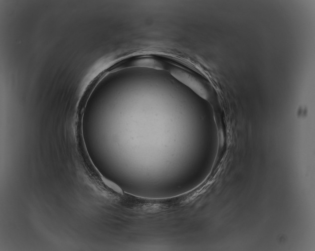 X0000091660152200708231314