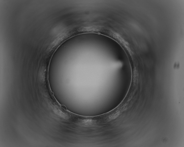 X0000091660153200708231314
