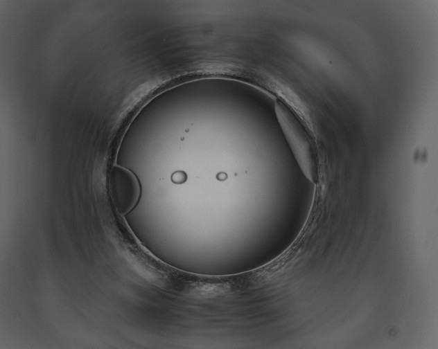 X0000091660155200708231314