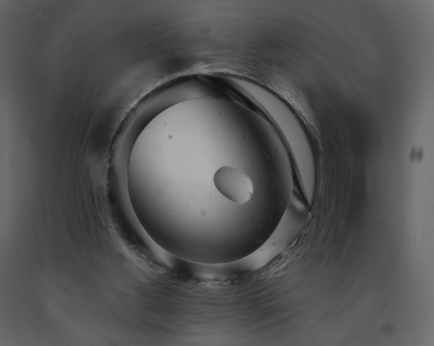 X0000091660156200708231314