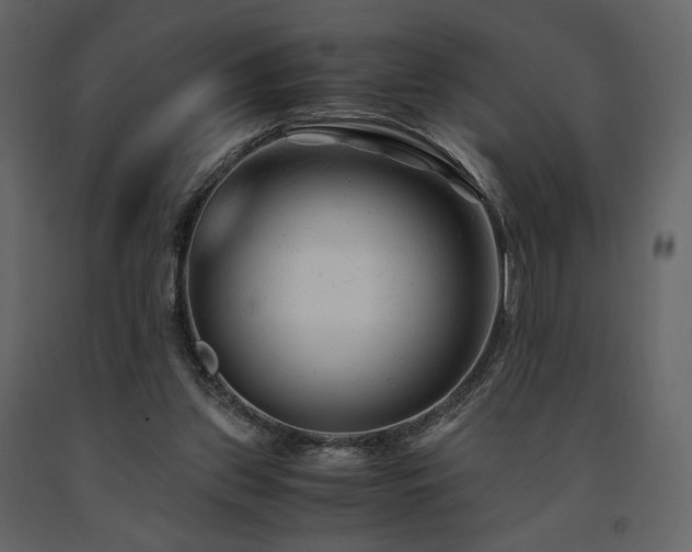 X0000091660157200708231314