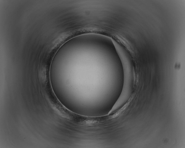 X0000091660158200708231314