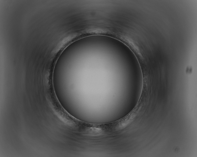 X0000091660159200708231314