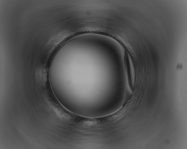 X0000091660160200708231314