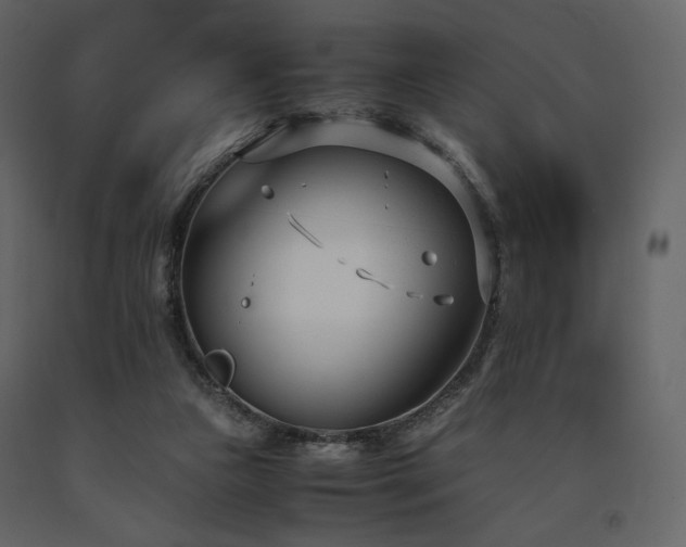 X0000091660161200708231314