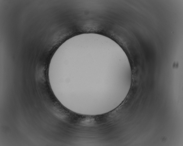 X0000091660162200708231314