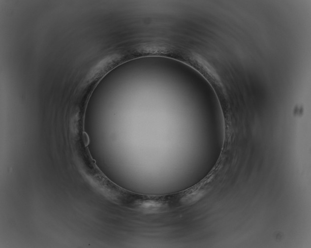 X0000091660163200708231314