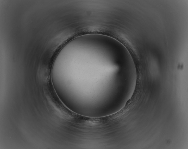 X0000091660164200708231314