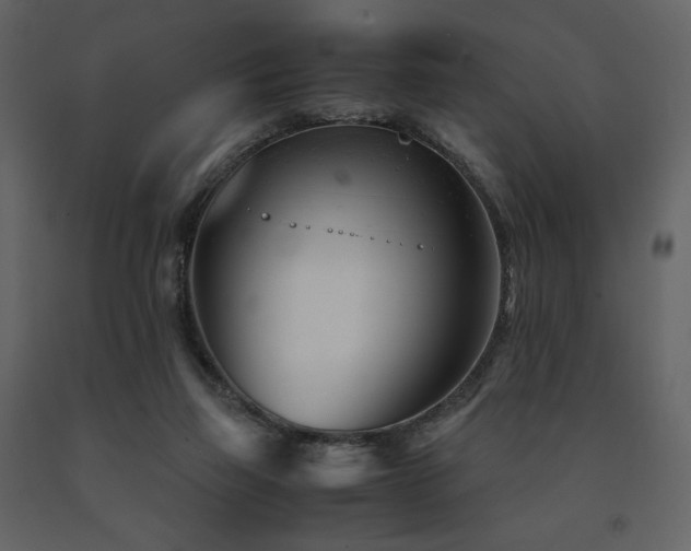 X0000091660165200708231314