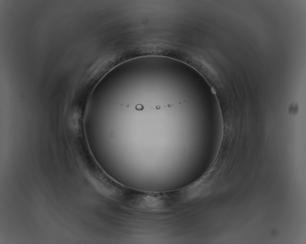 X0000091660166200708231314