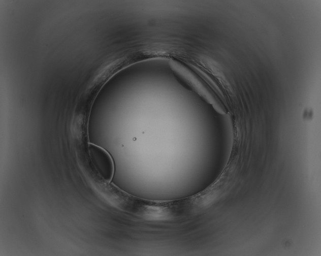 X0000091660167200708231314