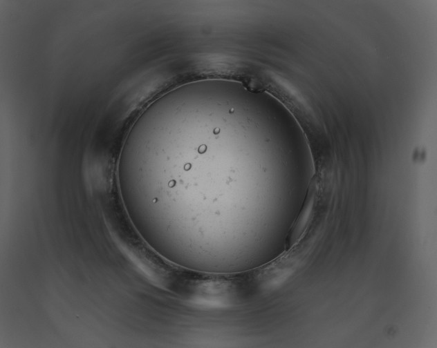 X0000091660168200708231314