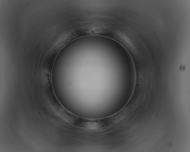 X0000091660169200708231314