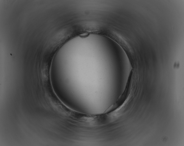 X0000091660170200708231314