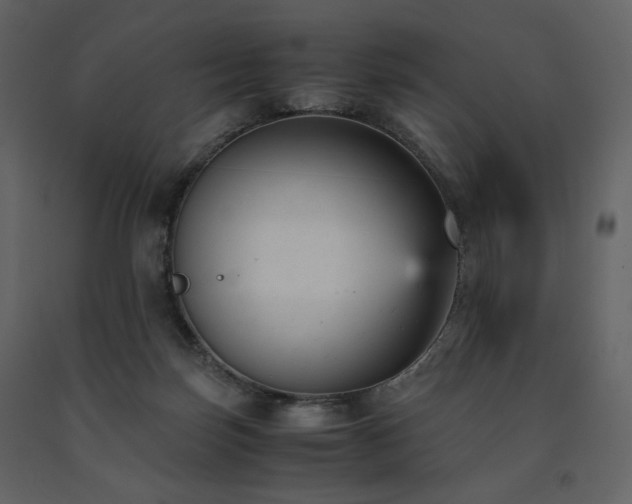 X0000091660171200708231314