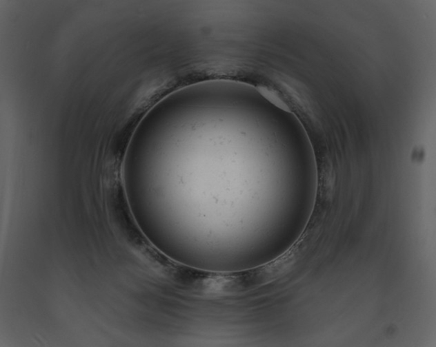 X0000091660172200708231314