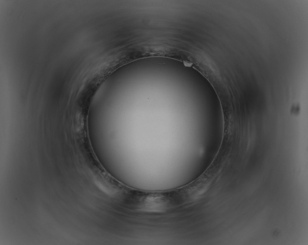 X0000091660173200708231314