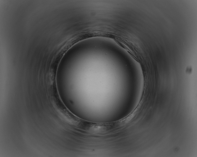 X0000091660174200708231314