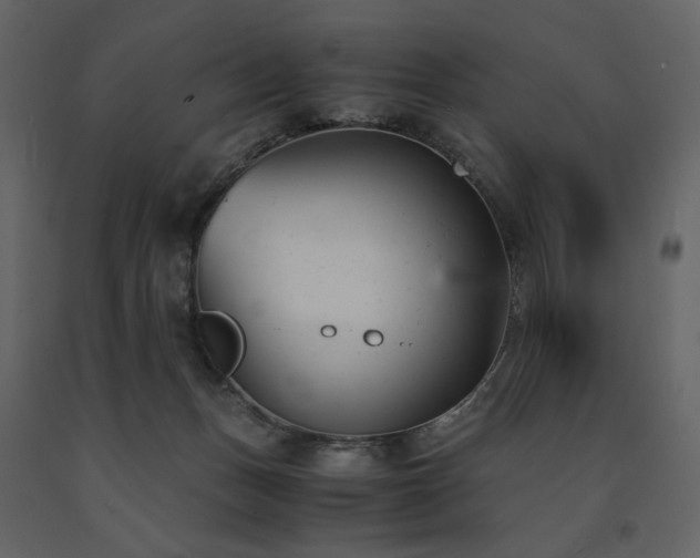 X0000091660175200708231314