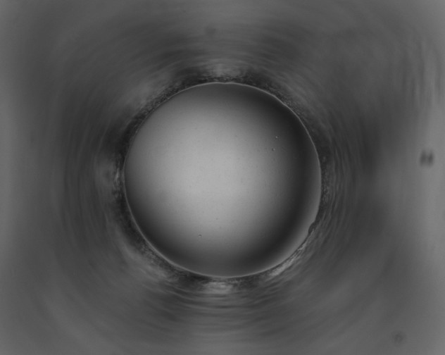 X0000091660176200708231314