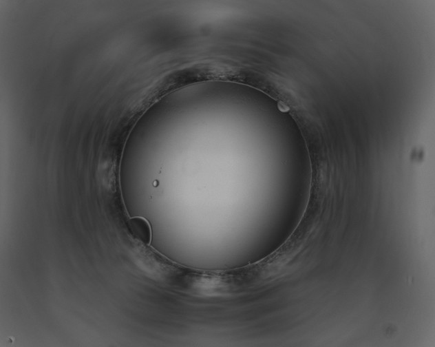 X0000091660177200708231314