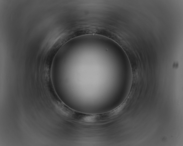 X0000091660178200708231314