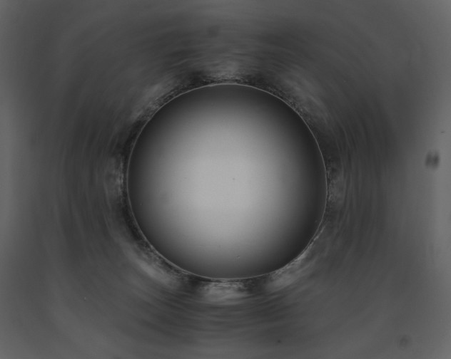 X0000091660179200708231314