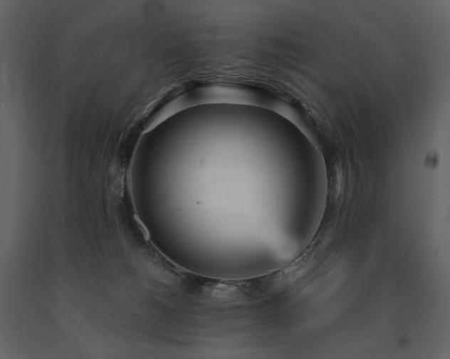 X0000091660180200708231314