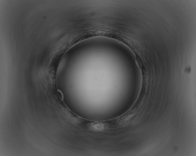 X0000091660181200708231314