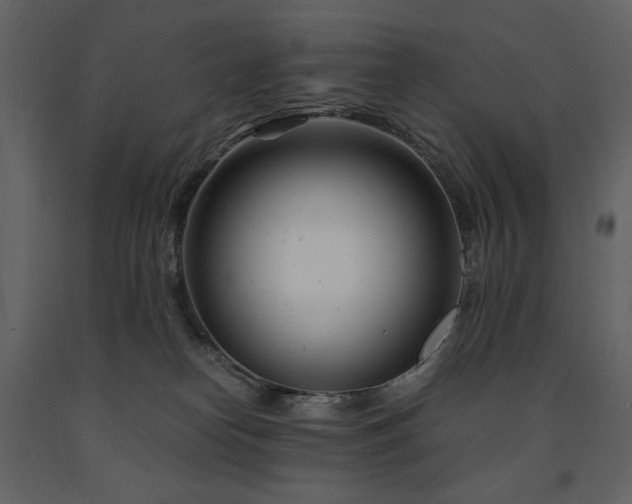 X0000091660182200708231314
