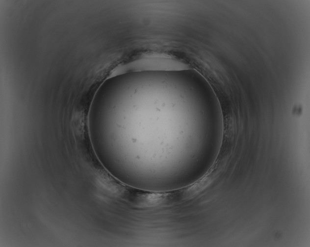 X0000091660184200708231314