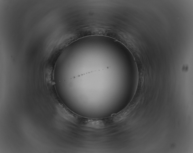 X0000091660185200708231314
