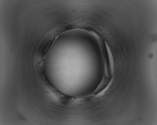 X0000091660186200708231315
