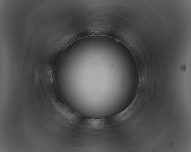 X0000091660187200708231315