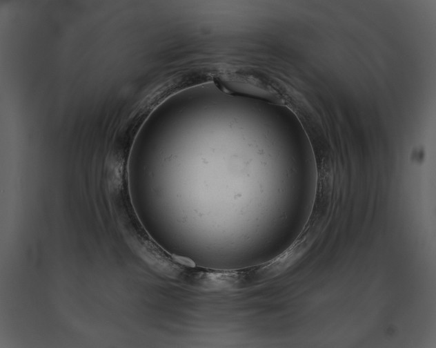 X0000091660188200708231315