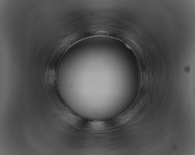 X0000091660189200708231315