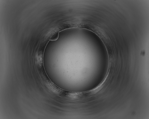 X0000091660190200708231315