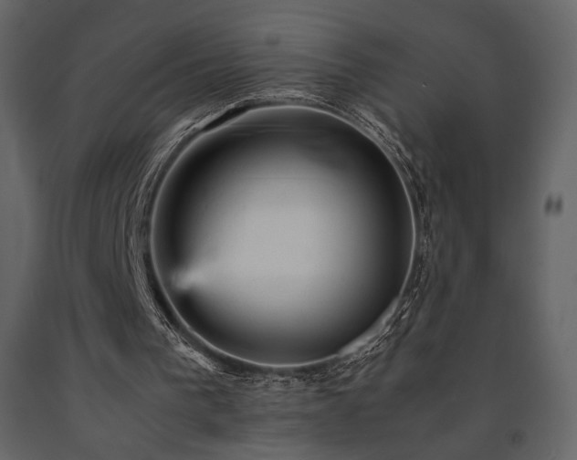 X0000091660193200708231314