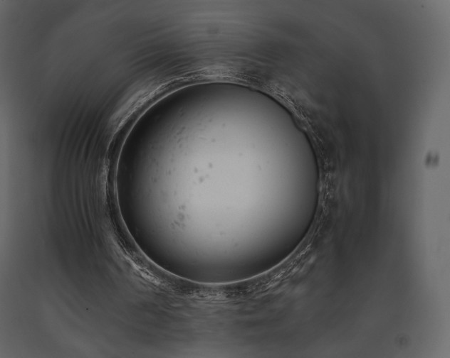 X0000091660194200708231314