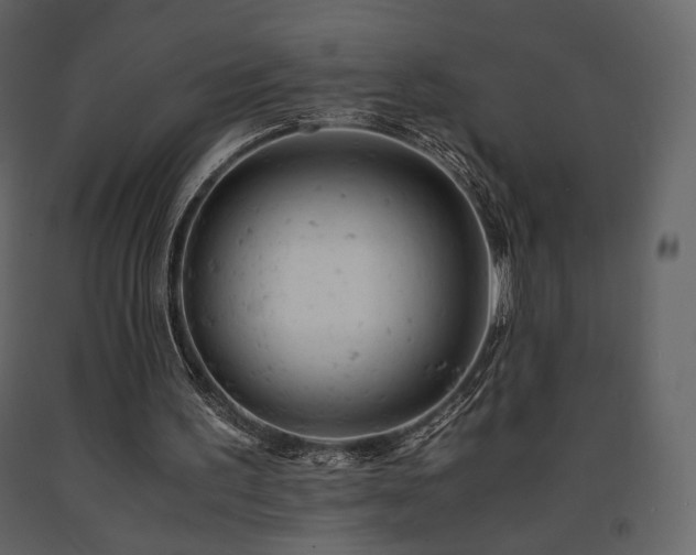 X0000091660195200708231314