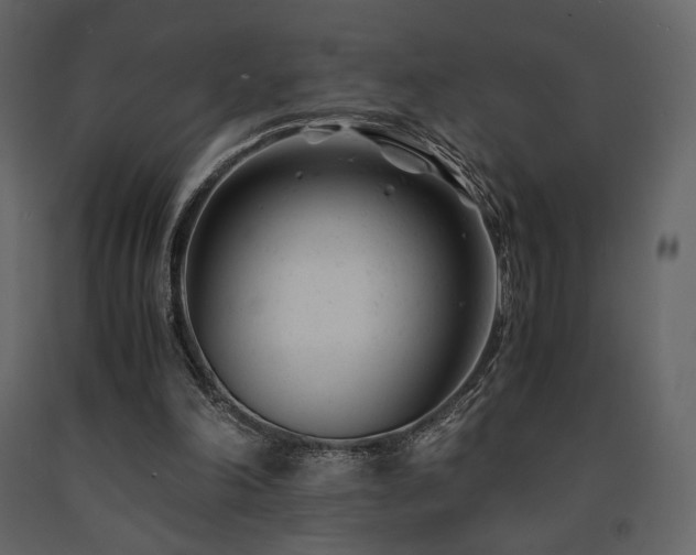 X0000091660198200708231314