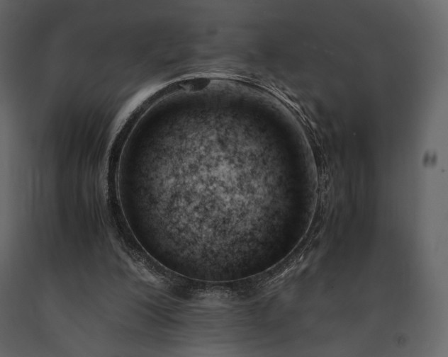 X0000091660200200708231314
