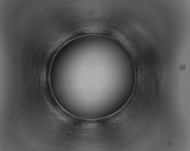 X0000091660202200708231314