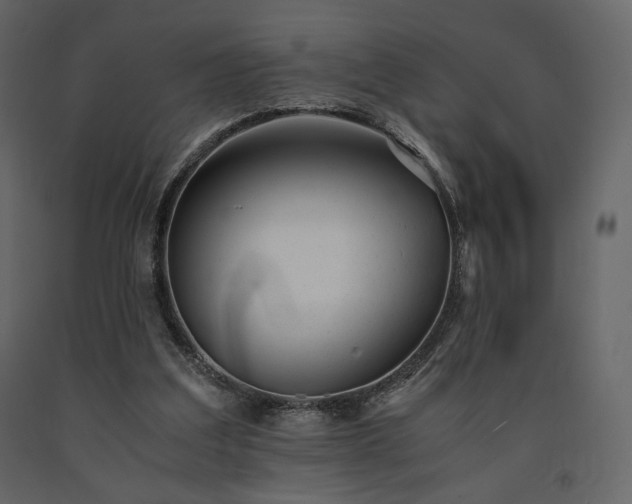 X0000091660203200708231314