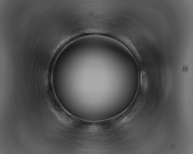 X0000091660204200708231314