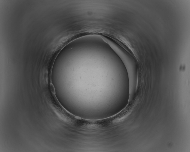 X0000091660205200708231314