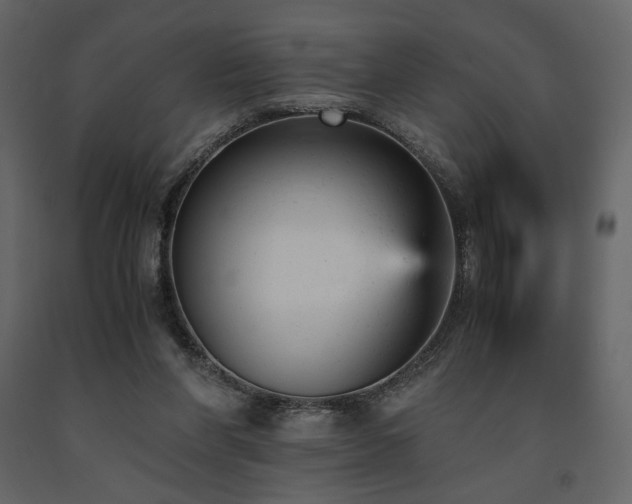 X0000091660206200708231314