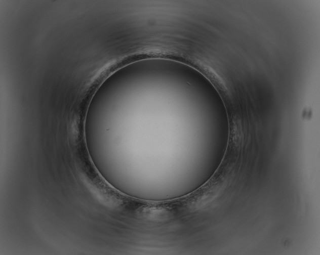 X0000091660208200708231314